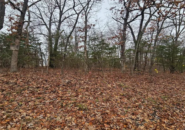 Photo 2 of Land for sale at 0 16+/ Acres Dry Branch Rd, Saint Clair, MO 63077 | MLS# 24070634 | Listing updated on 2024-11-27