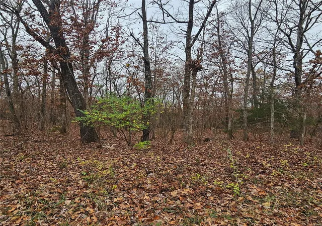 Photo 3 of House for sale at 0 16+/ Acres Dry Branch Rd, Saint Clair, MO 63077 | MLS# 24070634 | Listing updated on 2024-11-27