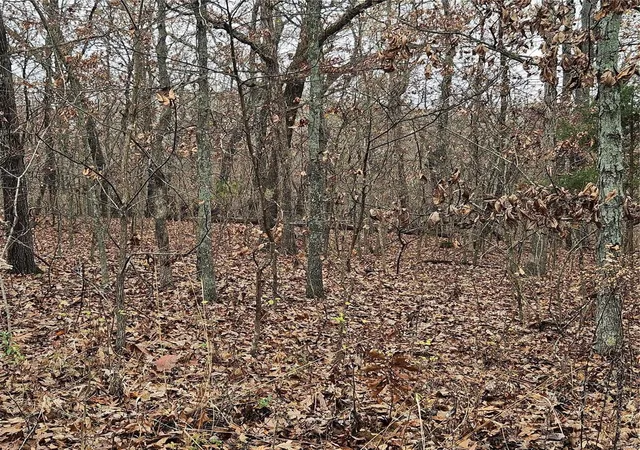 Photo 4 of House for sale at 0 16+/ Acres Dry Branch Rd, Saint Clair, MO 63077 | MLS# 24070634 | Listing updated on 2024-11-27