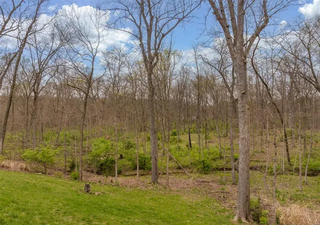 5th image of 15019 Carriage Oaks Ct, Wright City, MO 63390 | MLS# 25008512
