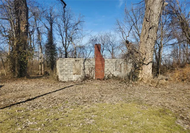 Photo 3 of Single family home for sale at 45 Jarvis Pl, East Saint Louis, IL 62207 | MLS# 25009042 | Listing updated on 2025-05-12
