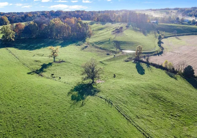 Photo 3 of Land for sale at 0 County Rd 227 (tract 2), Cape Girardeau, MO 63701 | MLS# 25009448 | Listing updated on 2025-03-10