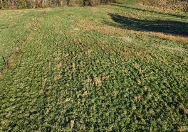 Photo 3 of Land for sale at 0 County Rd 227 (tract 3), Cape Girardeau, MO 63701 | MLS# 25009460 | Listing updated on 2025-02-27