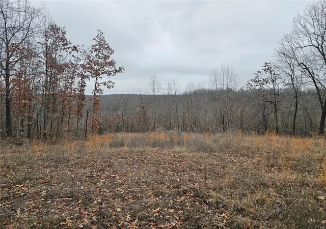Photo 2 of Land for sale at 0 Maverick Dr, Eldridge, MO 65463 | MLS# 25018127 | Listing updated on 2025-04-11