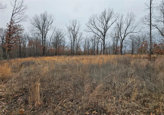 Photo 3 of Land for sale at 0 Maverick Dr, Eldridge, MO 65463 | MLS# 25018127 | Listing updated on 2025-04-11