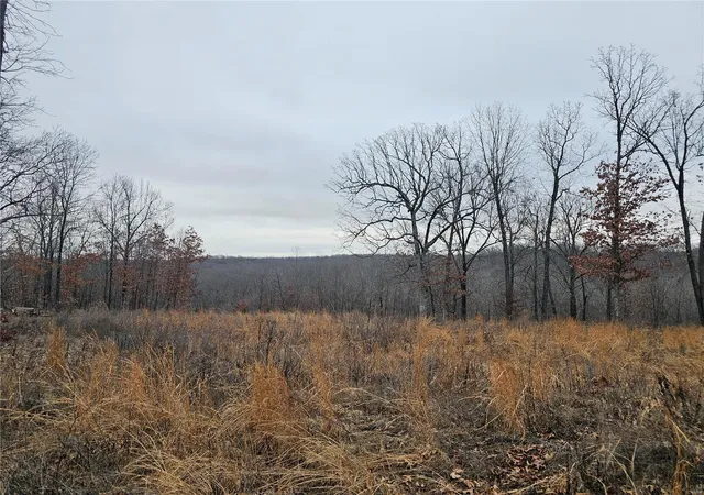 Photo 3 of Land for sale at 0 Maverick Dr, Eldridge, MO 65463 | MLS# 25018127 | Listing updated on 2025-04-11