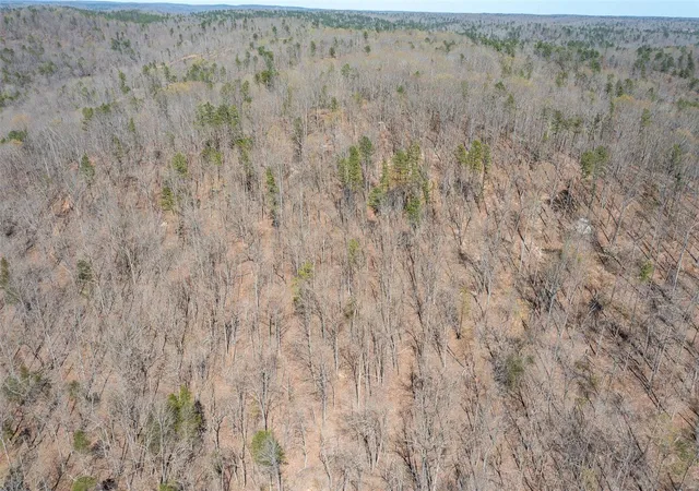 Photo 98 of Land for sale at 1443 Madison 443, Annapolis, MO 63620 | MLS# 25019070 | Listing updated on 2025-04-10