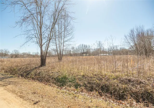 Photo 26 of Single family home for sale at 5633 Missouri T, Puxico, MO 63960 | MLS# 25021503 | Listing updated on 2025-04-07