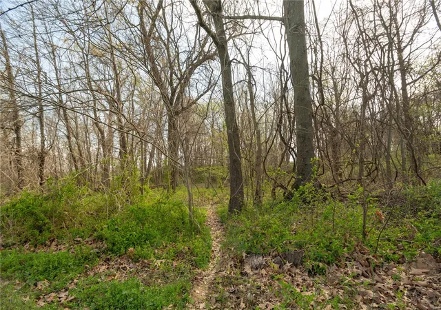 Photo 18 of Land for sale at 123 County Road 639, Dexter, MO 63841 | MLS# 25022046 | Listing updated on 2025-04-09