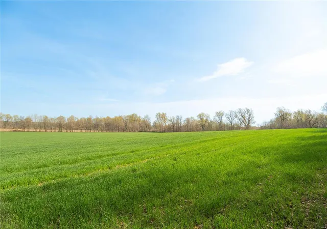 Photo 1 of Land for sale at 123 County Road 639, Dexter, MO 63841 | MLS# 25022046 | Listing updated on 2025-04-09