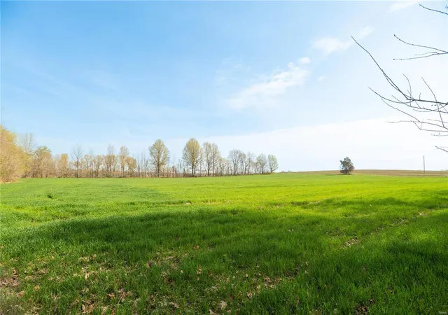 Photo 2 of Land for sale at 123 County Road 639, Dexter, MO 63841 | MLS# 25022046 | Listing updated on 2025-04-09
