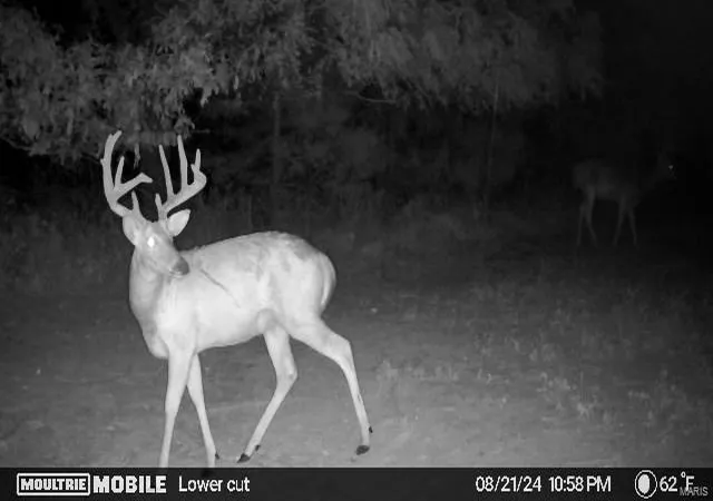 Photo 1 of Land for sale at 43 +/  Acres Monroe County Rd 445, Stoutsville, MO 65283 | MLS# 25022200 | Listing updated on 2025-04-10