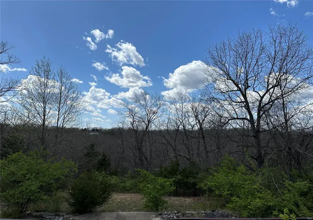 Photo 1 of Land for sale at 1780 Old Woolam Rd, Owensville, MO 65066 | MLS# 25022561 | Listing updated on 2025-04-10