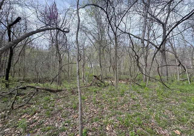 Photo 3 of Land for sale at 735 Hwy 109, Chesterfield, MO 63005 | MLS# 25022735 | Listing updated on 2025-04-11
