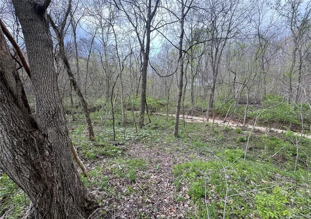 Photo 4 of Land for sale at 735 Hwy 109, Chesterfield, MO 63005 | MLS# 25022735 | Listing updated on 2025-04-11