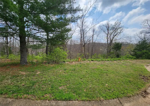 Photo 2 of Land for sale at 0 Oakbrook, Owensville, MO 65066 | MLS# 25022790 | Listing updated on 2025-04-11
