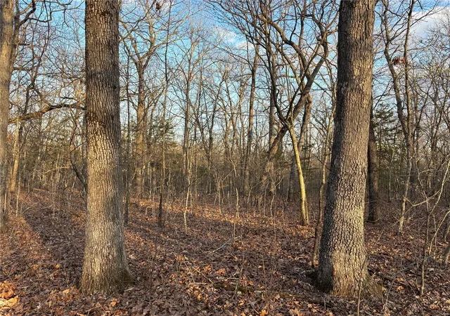Photo 21 of Land for sale at 3598 Hwy T, Rosebud, MO 63091 | MLS# 25023391 | Listing updated on 2025-04-15