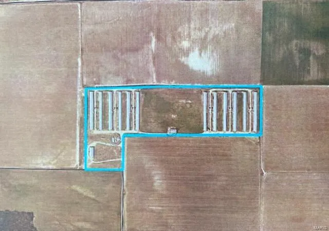 Photo 9 of Land for sale at 14525 Hwy Ww, Dudley, MO 63936 | MLS# 25023440 | Listing updated on 2025-04-15