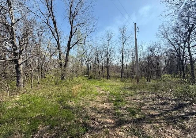 Homes for sale in West Plains, MO | 0 Cr 8760, West Plains, MO 65775 | MLS# 25023565