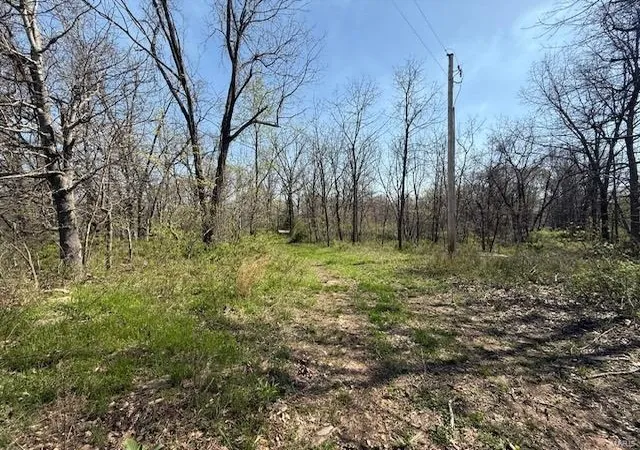 Homes for sale in West Plains, MO | 0 Cr 8760, West Plains, MO 65775 | MLS# 25023565