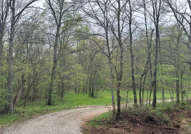 Photo 29 of Single family home for sale at 8542 Festus Ln, Glenallen, MO 63751 | MLS# 25024789 | Listing updated on 2025-04-21
