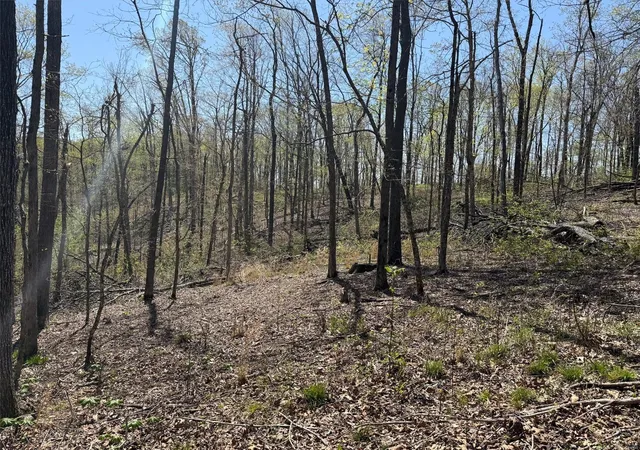 Photo 1 of Land for sale at 0 Bcr 300, Marble Hill, MO 63764 | MLS# 25024829 | Listing updated on 2025-04-22