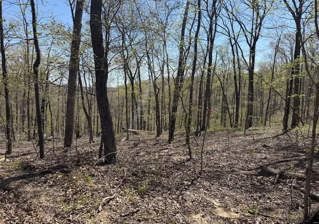 Photo 2 of Land for sale at 0 Bcr 300, Marble Hill, MO 63764 | MLS# 25024829 | Listing updated on 2025-04-22