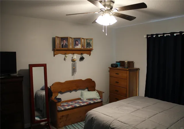 Photo 13 of Single family home for sale at 701 Lynn St, Paris, MO 65275 | MLS# 25024847 | Listing updated on 2025-04-21