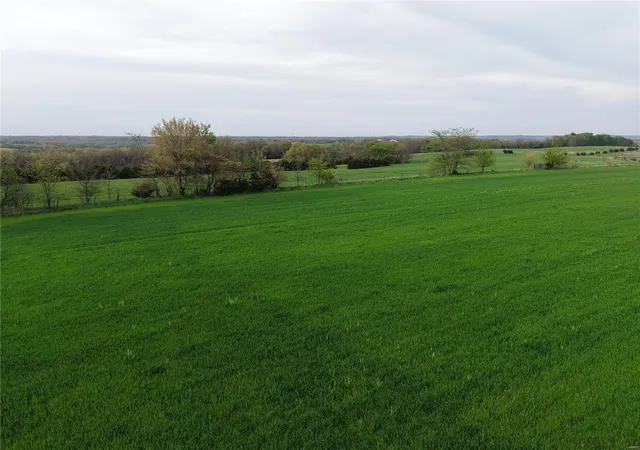Photo 19 of Land for sale at 0 Hwy A, New London, MO 63459 | MLS# 25025289 | Listing updated on 2025-04-25