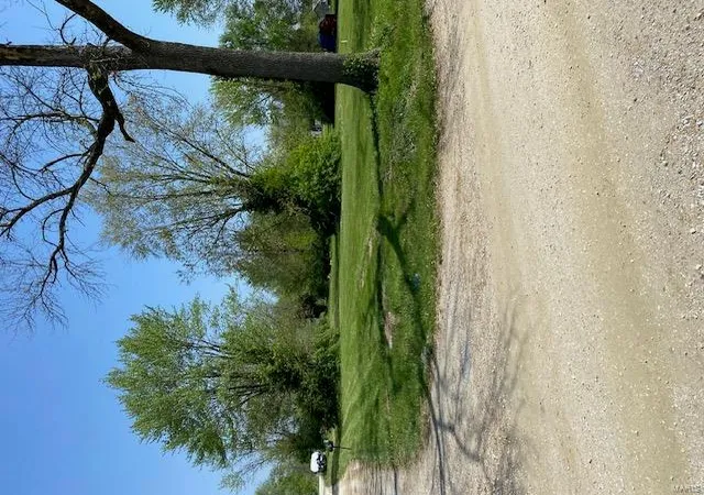 Photo 2 of Land for sale at 110 S Maple St, Bellflower, MO 63333 | MLS# 25025309 | Listing updated on 2025-04-28