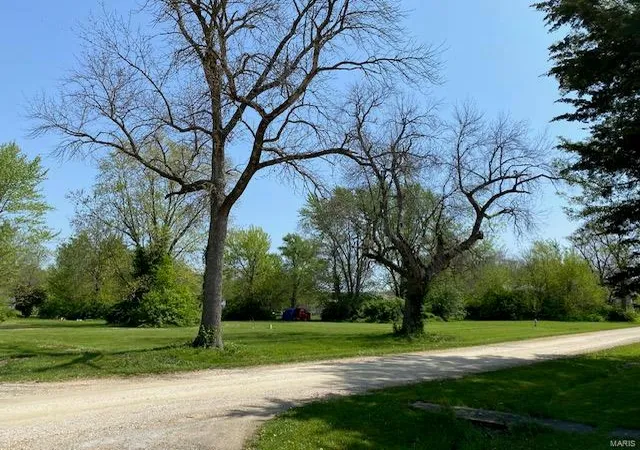Photo 7 of Land for sale at 110 S Maple St, Bellflower, MO 63333 | MLS# 25025309 | Listing updated on 2025-04-28