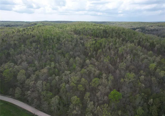 Photo 12 of Land for sale at 1900 Madison 238, Fredericktown, MO 63645 | MLS# 25026859 | Listing updated on 2025-04-25
