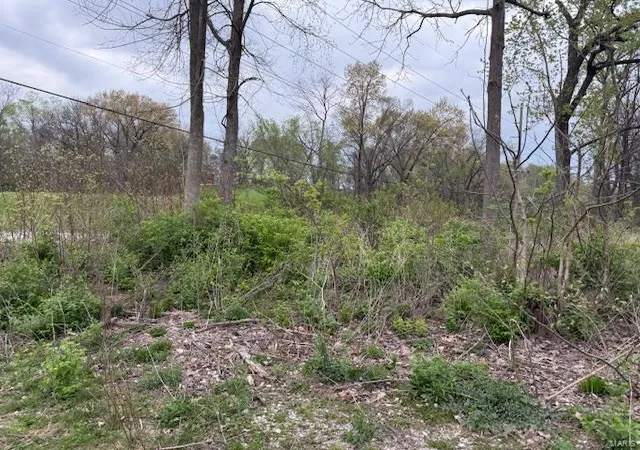 Photo 1 of Land for sale at 2777 Ehlmann Rd, Saint Charles, MO 63301 | MLS# 25027719 | Listing updated on 2025-04-29