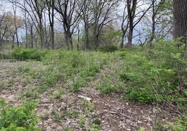 Photo 2 of Land for sale at 2777 Ehlmann Rd, Saint Charles, MO 63301 | MLS# 25027719 | Listing updated on 2025-04-29