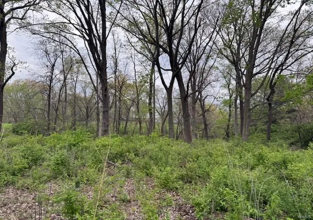 Photo 4 of Land for sale at 2777 Ehlmann Rd, Saint Charles, MO 63301 | MLS# 25027719 | Listing updated on 2025-04-29