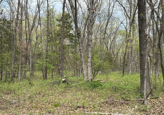 Photo 1 of Land for sale at 2 Joanna Dr, Perry, MO 63462 | MLS# 25027759 | Listing updated on 2025-04-29