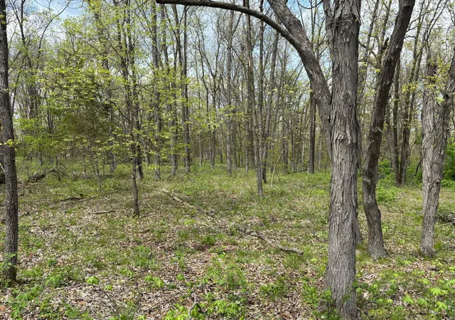 Photo 2 of Land for sale at 2 Joanna Dr, Perry, MO 63462 | MLS# 25027759 | Listing updated on 2025-04-29
