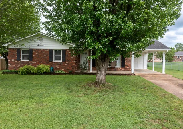 Photo 1 of Single family home for sale at 217 Williams St, Fredericktown, MO 63645 | MLS# 25027850 | Listing updated on 2025-05-03