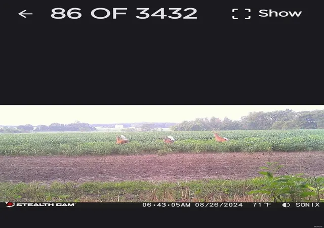 Photo 15 of Land for sale at 0 Danz Rd, Rosebud, MO 63091 | MLS# 25028147 | Listing updated on 2025-04-30