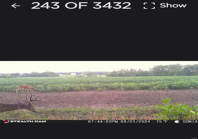 Photo 2 of Land for sale at 0 Danz Rd, Rosebud, MO 63091 | MLS# 25028147 | Listing updated on 2025-04-30