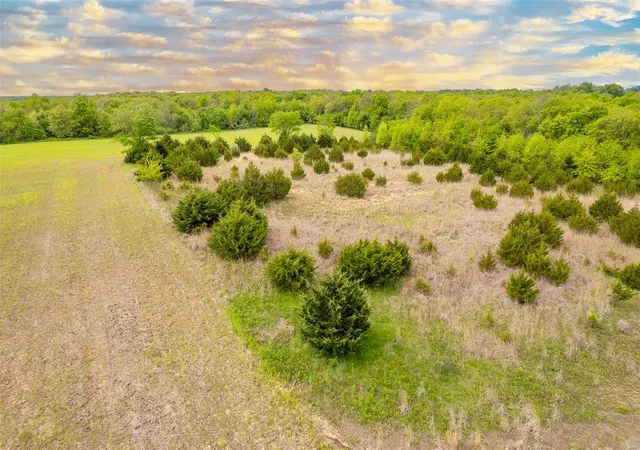 Photo 22 of Land for sale at 0 Flint Rd (41+/  Ac), Middletown, MO 63359 | MLS# 25028459 | Listing updated on 2025-05-06