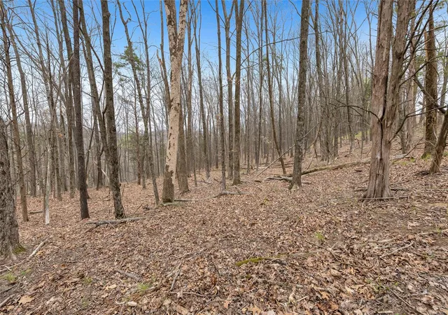Photo 2 of Land for sale at 0 Coles Creek Rd, Hermann, MO 65041 | MLS# 25028601 | Listing updated on 2025-05-01