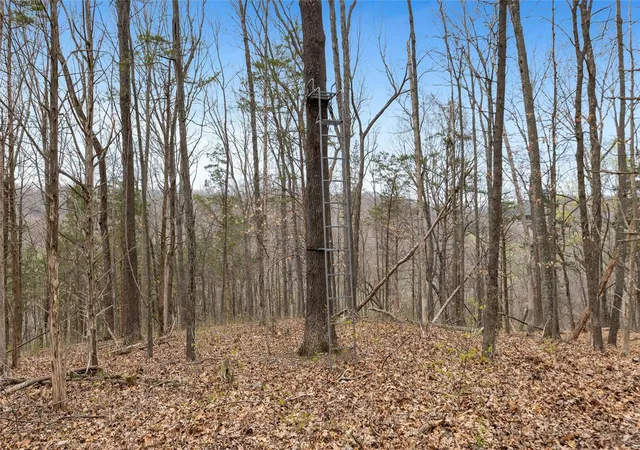 Photo 3 of Land for sale at 0 Coles Creek Rd, Hermann, MO 65041 | MLS# 25028601 | Listing updated on 2025-05-01