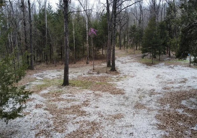 Photo 29 of Land for sale at 44705 Willow Lane, Monroe City, MO 63456 | MLS# 25028723 | Listing updated on 2025-05-02