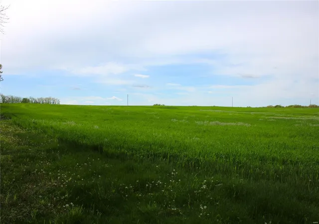 Photo 2 of Land for sale at 41 Monroe Road 875, Paris, MO 65275 | MLS# 25029168 | Listing updated on 2025-05-04