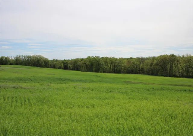 Photo 9 of Land for sale at 41 Monroe Road 875, Paris, MO 65275 | MLS# 25029168 | Listing updated on 2025-05-04