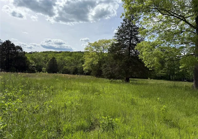 Photo 39 of Land for sale at 1 Hwy Cc, Fredericktown, MO 63645 | MLS# 25029290 | Listing updated on 2025-05-10