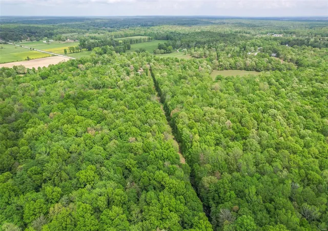 5th image of 729 County Road 543, Poplar Bluff, MO 63901 | MLS# 25029338