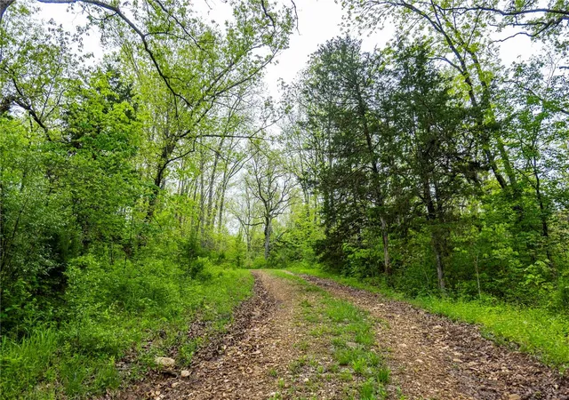 Photo 59 of Land for sale at 0 Hwy N, Montgomery City, MO 63361 | MLS# 25030320 | Listing updated on 2025-05-08