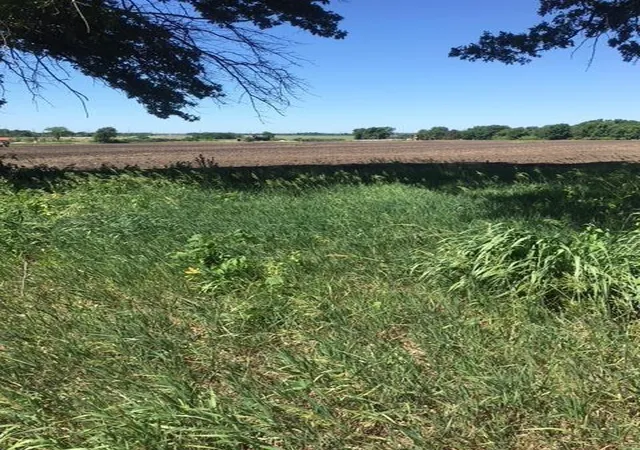 2nd image of 183rd 56 Hwy, Gardner, KS 66030 | MLS# 2357764